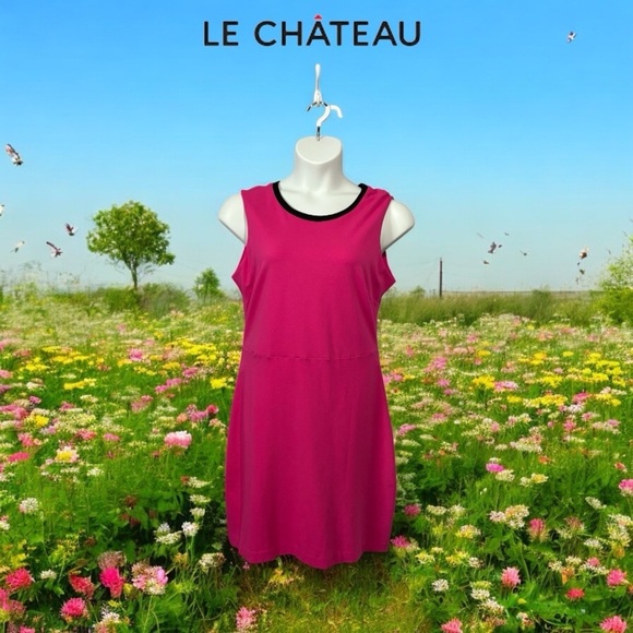 Le Château, Sleeveless Pink Dress, XXL - Picture 1 of 9
